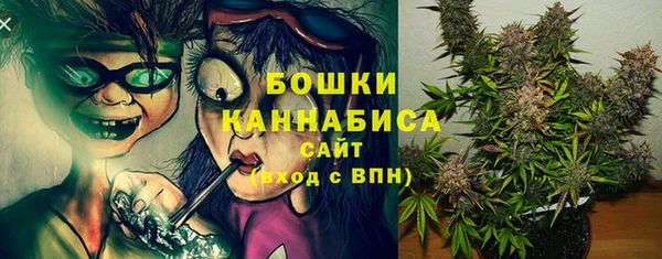 дживик Саяногорск