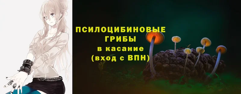 Псилоцибиновые грибы GOLDEN TEACHER  Липки 