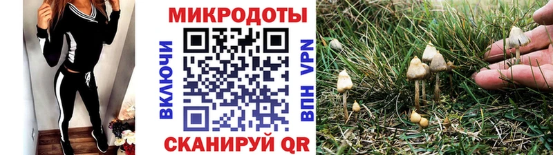 закладки  Липки  Псилоцибиновые грибы ЛСД 